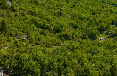 Luxury Villa Andrea Vrzika in forest near the sea with heated pool - Foto 13