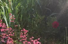 Gîte La Cauvignyere - Foto 12