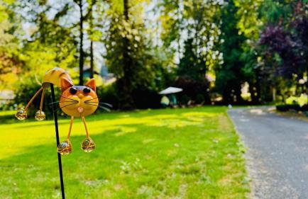 Joy House - Foto 3