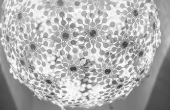 Konstantis - Foto 36