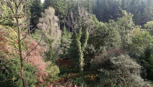 Bryn Cemlyn - Foto 3