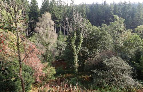 Bryn Cemlyn - Foto 3