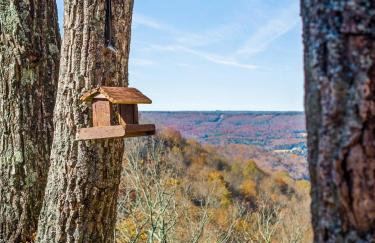 Brow Bella - Mt Views, Hot Tub & Porch - Foto 2