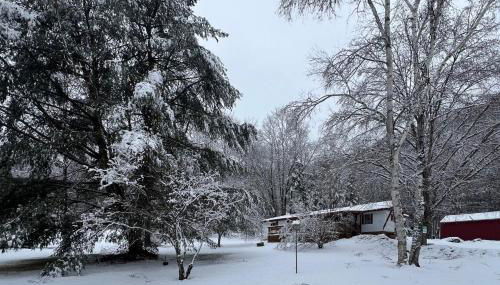 Cozy Dennis Retreat - Foto 1