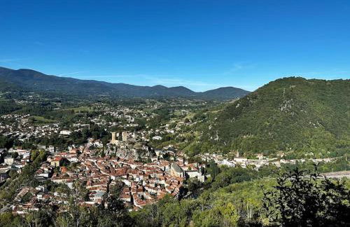 3 pièces spacieux plein centre, parking,clim, terrasse, jardin - Foto 33