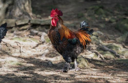 Agriturismo Casa Del Nonno - Foto 50