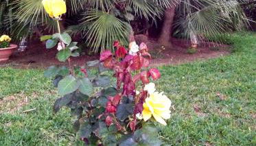 Casa vacanze - Foto 3