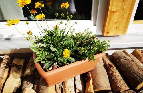 Ferienwohnung Lieblingszeit - Foto 32