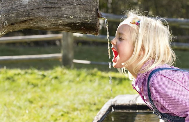 David Suiten - Foto 56