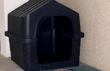 Casa Caju Pé na Areia Pitimbu - Foto 77