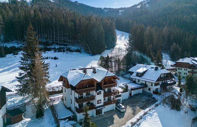 Apartment With Carinthian Mountain View - Photo 31