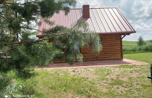 Nad żabim stawem - Foto 1