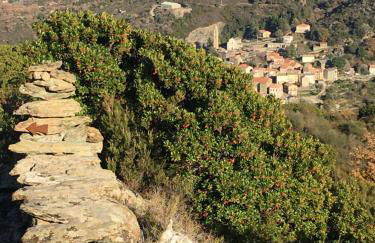 Maison de village 3 chambres 2 SDB avec terrasse & jardin - Proche St Florent - Foto 33