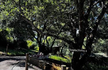 The Bungalow - Quinta da BellaVista - Foto 41