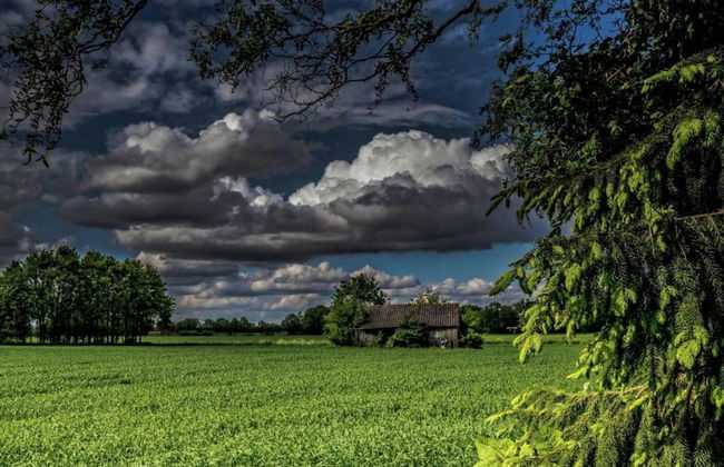 Apartment in Eibergen Near Zwillbrocker Venn - Foto 25