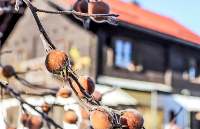 Weissenbach - Foto 33