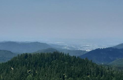 Fewo Schwarzwald Von Oben - Kniebis - Foto 18
