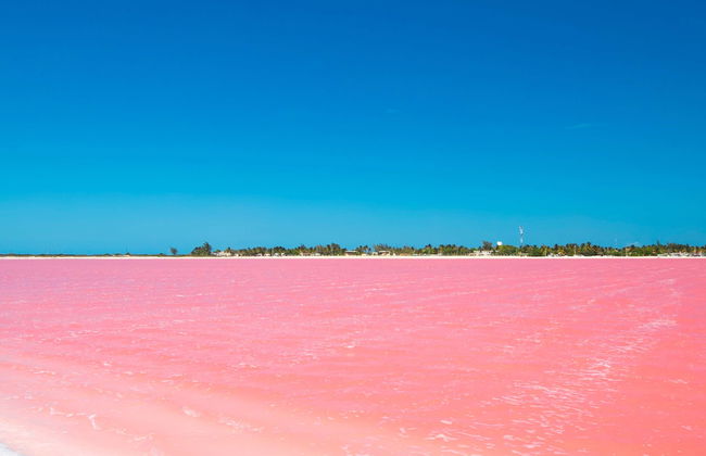 Day Trip to Las Coloradas & Rio Lagartos - Photo 1