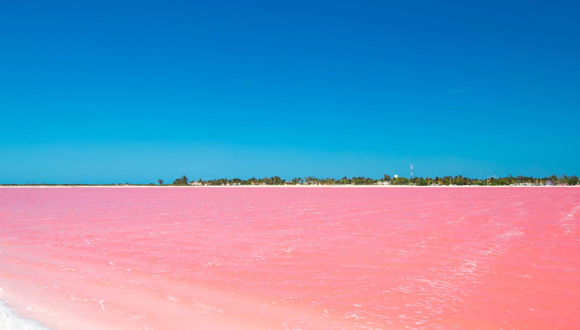 Day Trip to Las Coloradas & Rio Lagartos
