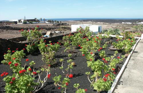 Casa Andrés - Photo 26