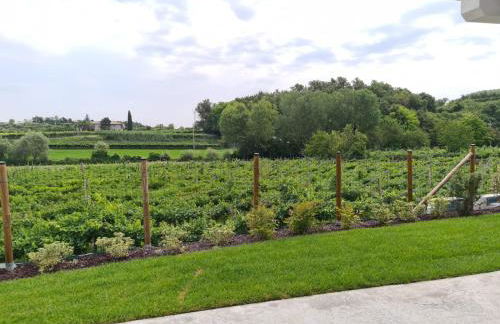 Residence Le Aromatiche - Foto 33