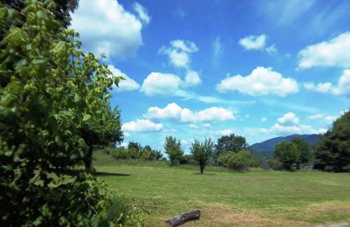 Comfy home in San Godenzo with Lake nearby - Foto 50