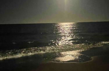 Gandia Beach - Foto 19