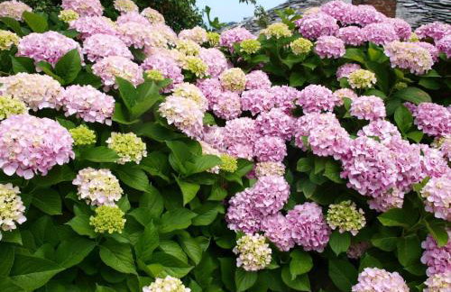 Villa Zina Agios Dimitrios - Foto 23