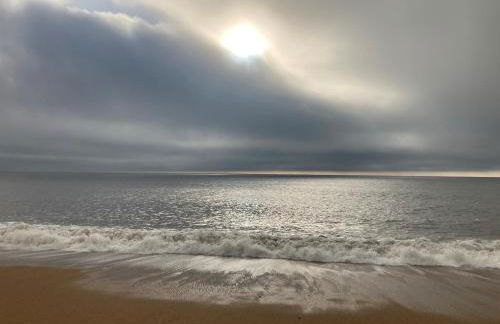 The Burrow - Photo 21