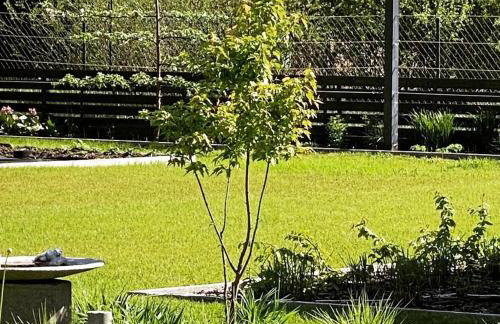 Carpinus II domek nad jeziorem - Foto 17