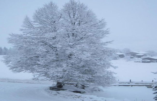 Holiday Home in Lengdorf Near Ski Slopes - Foto 39