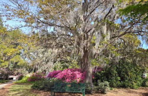 Peaceful Retreat on the Intracoastal Waterway! Myrtle Beach - Indoor Pool - Foto 49