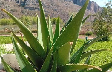 PETROS ROOMS to LET KALOGRIA BEACH - Foto 47