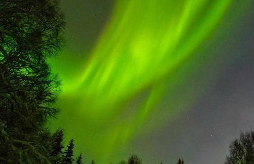 Northern Lights Log House w/ Sauna - Foto 60