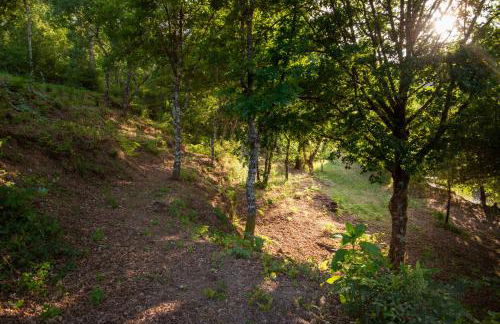 Quinta da Lontra - Foto 35