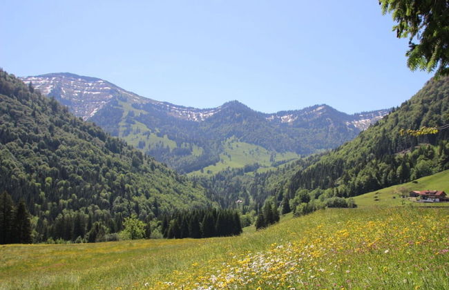 Hochgrat View in Steibis, Haus Akelei - Photo 25