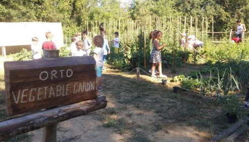 Agriturismo L'Accolta - Foto 4, Garden