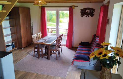 Domek Bieszczadzkie Brzegi - Foto 4