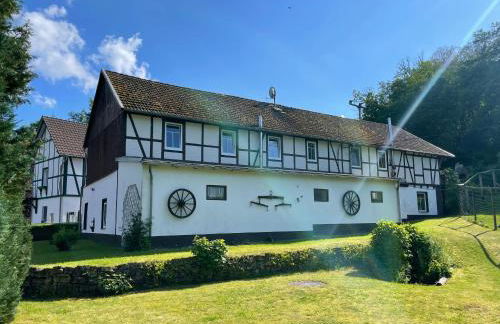 Holla die Waldfee - Foto 4