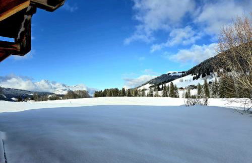 Chalet du Lay Côte 2000 ski in ski out - Foto 28