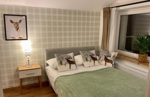 Domek Koziołek przy szlaku, Szyndzielnia, Klimczok, Szczyrk, Bania - Foto 7