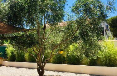 RDC dans maison "ilolil" a 1km plage de la Coudoulière - Foto 4