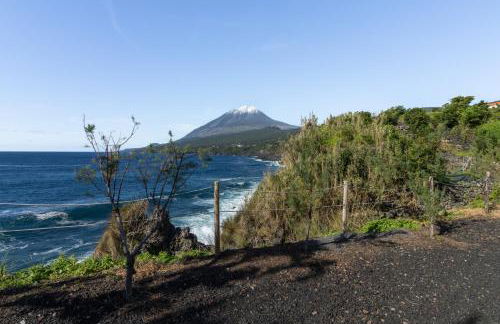 Picos House - Photo 53