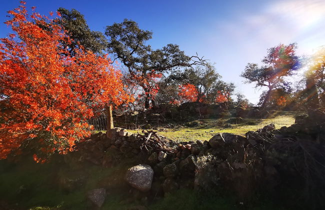 Casa Rural Mirador de los Tomillos - Foto 26