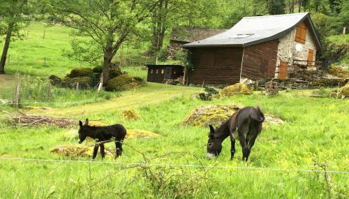 Appartement spacieux 2 chambres au cœur du village - Foto 5