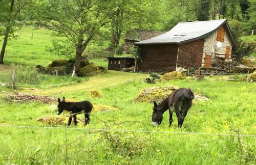 Apparemment spacieux - Foto 17