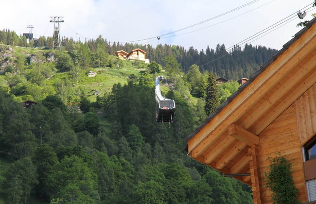 Glacier Views & Ski Trails - Foto 14