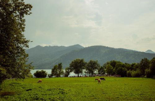 Ferienwohnung Glaserhäusl am Roßgarten - Foto 13