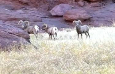 Cozy Tiny Home At Private Moab Ranch - Foto 21