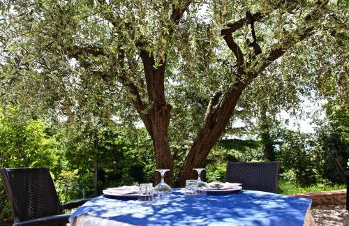 Agriturismo Biologico Villa Rosa - Photo 24